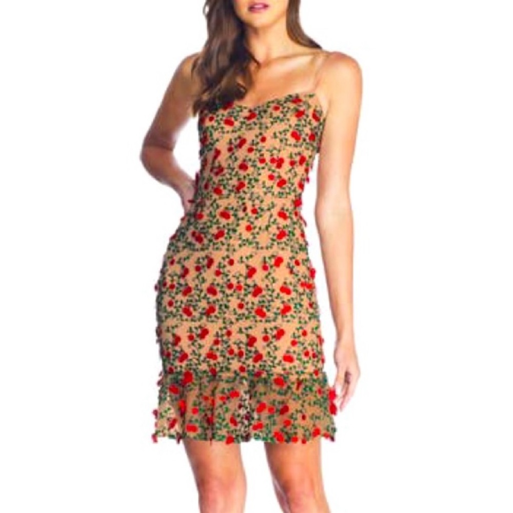 Dress the population 3D Cherry dress size L.  Dress is like a tan w/ green & red